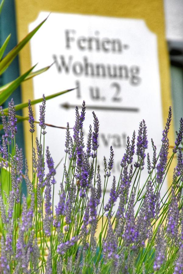 Pension Thermenland Loipersdorf bei Fürstenfeld Exterior foto